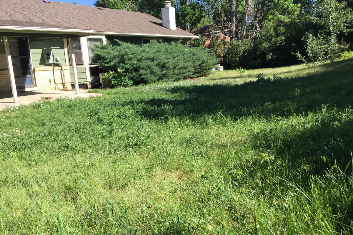 Backyard and Outdoor Room Before